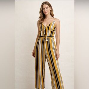 Japna Multicolor Striped Jumpsuit